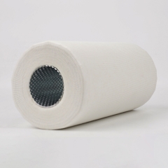 Fuel Filter, Cartridge P550032