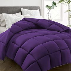 All Season Twin Size Bed Comforter - Cooling Down Alternative Quilted Duvet Insert with Corner Tabs - Winter Warm - Machine Washable