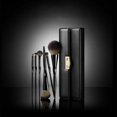 Napoleon Pro 6-Piece Eye Shadow & Contour Brush Set with Premium Case