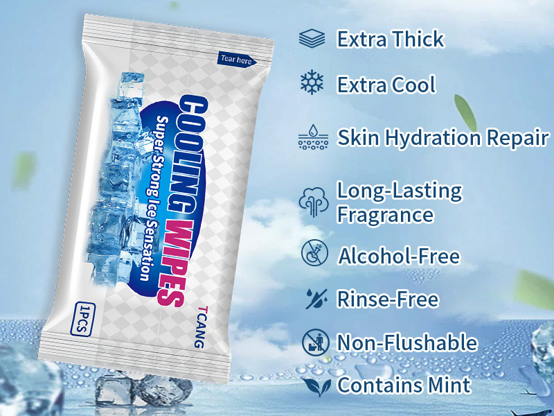 10 Pack Cooling Body Wipes, Alcohol-Free Cooling Towelettes Cooling Towel Alternative for Outdoor Sports, Camping, Hiking, Workout & Hot Weather(Green)