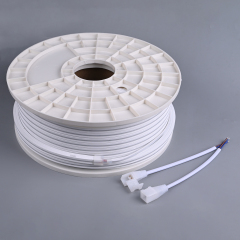 AC220V 10x10 LED Neon Light