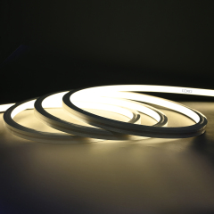 AC220V 10x10 LED Neon Light