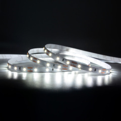 8mm 12V/24V 2835 60led/m Ra92 LED Strip