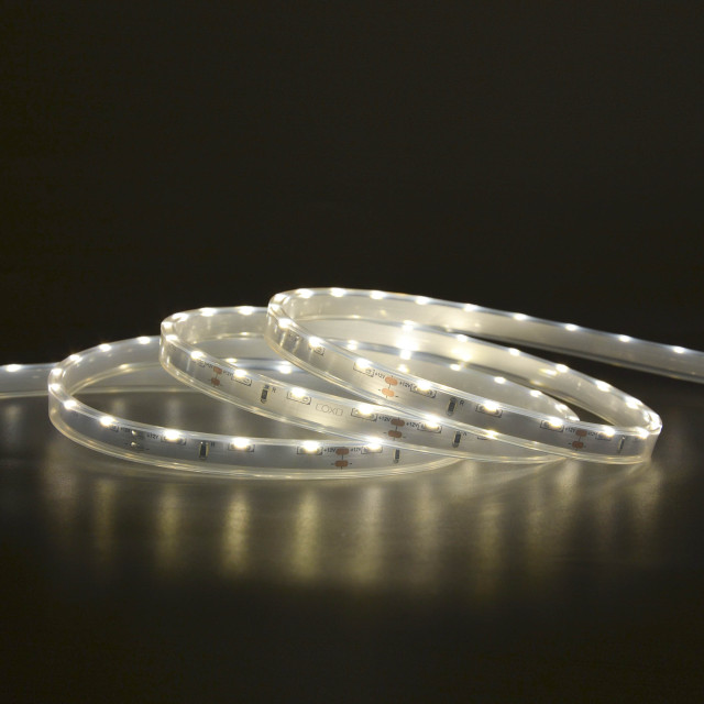 8mm 12V 60leds/m 3014 LED strip