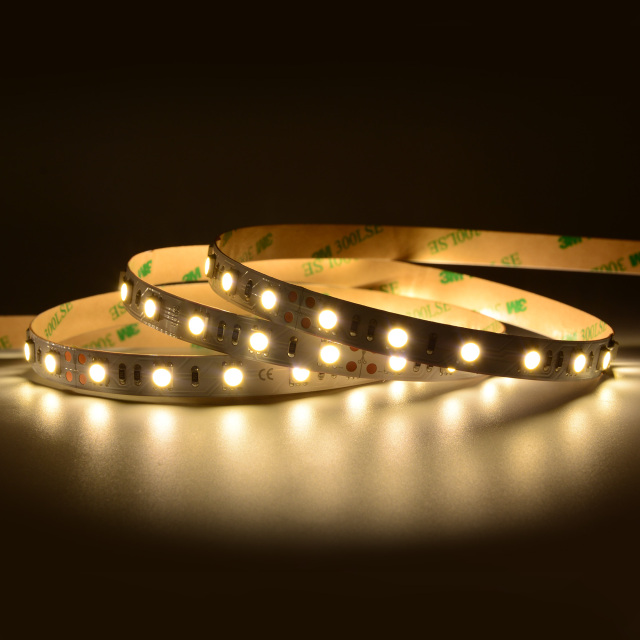 10mm 12V/24V 60leds/m 5050 LED strip