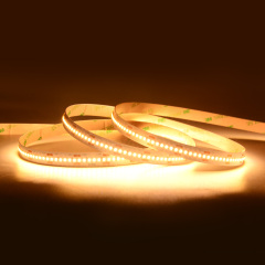 10mm 24V 300leds/m 2216 LED strip