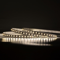 8mm 12V/24V 120leds/m 3014 LED Strip