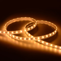 10mm 12V 120leds/m 2835 CCT LED strip