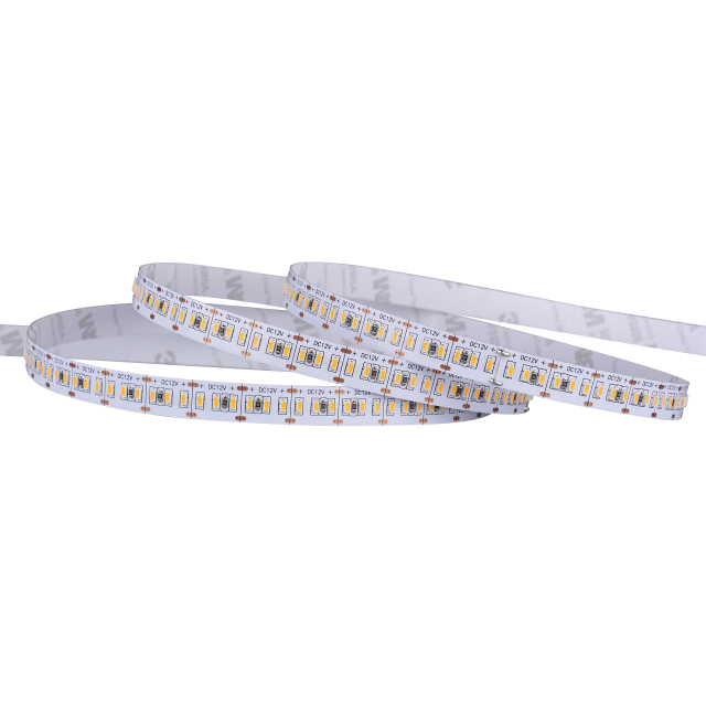 10mm 12V/24V 240leds/m 3014 LED strip