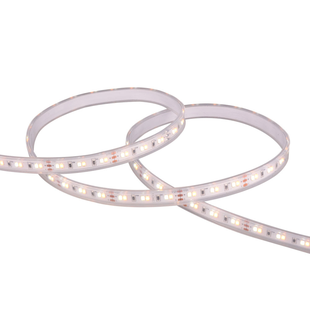 10mm 12V 120leds/m 2835 CCT LED strip
