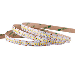10mm 12V/24V 240leds/m 2835 LED strip