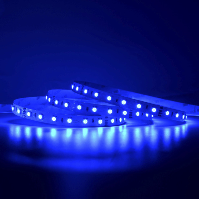 12mm 24V 60leds/m 5050 LED strip