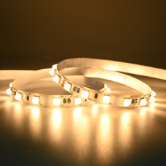 10mm 12V/24V 60leds/m 5050 LED strip