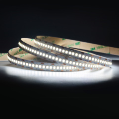 10mm 12V/24V 240leds/m 2835 LED strip