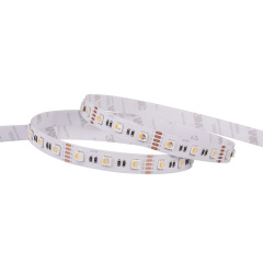 12mm 12V/24V 60leds/m 5050 RGBW LED strip