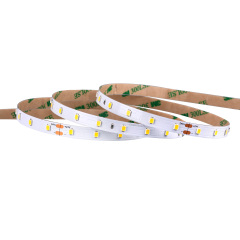 8mm 24V 64leds/m 2835 LED strip