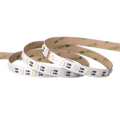 12mm 24V 60leds/m 5050 LED strip