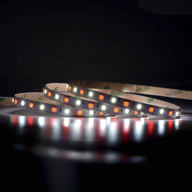 8mm 24V 96leds/m 4040 & 2835 RGBW SMD LED strip