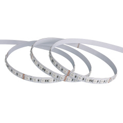 10mm 12V/24V 84leds/m 5050 RGB LED strip