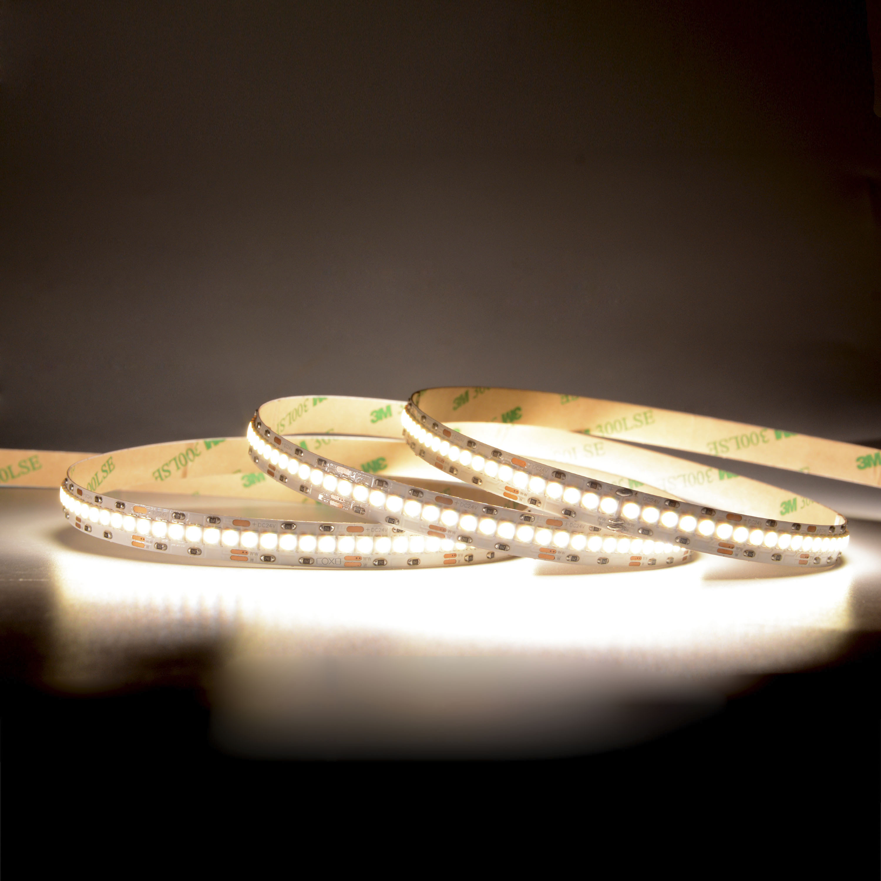 10mm 24V 240leds/m 2 in 1 CCT LED strip
