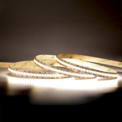 10mm 24V 240leds/m 2 in 1 CCT LED strip