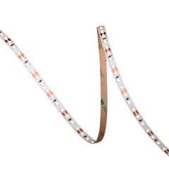 8mm 12V/24V 120leds/m 2835 LED strip