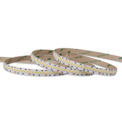 10mm 24V 240leds/m 2 in 1 CCT LED strip