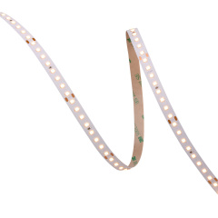 10mm 24V 128eds/m 2835 LED strip