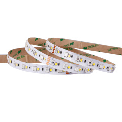 12mm 12V/24V 120leds/m 5050 RGB&2835 W LED strip