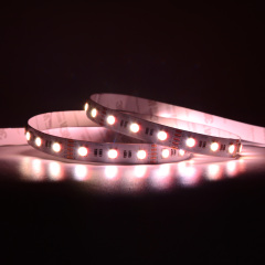 12mm 12V/24V 60leds/m 5050 RGBW LED strip