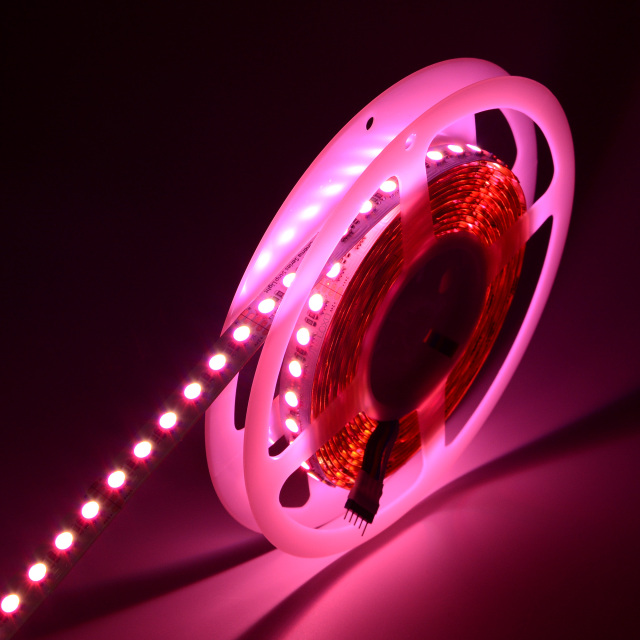 12mm 24V 96leds/m 5050 RGBW LED strip