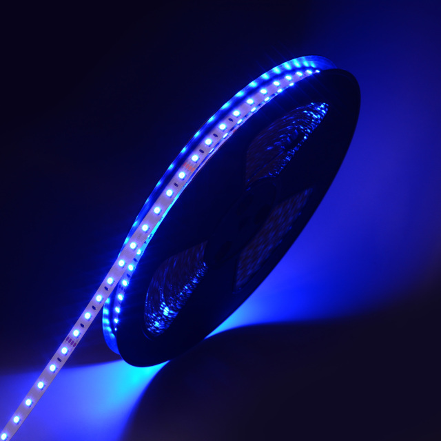 12mm 48V 60leds/m 5050 RGB Ultra length LED Strip