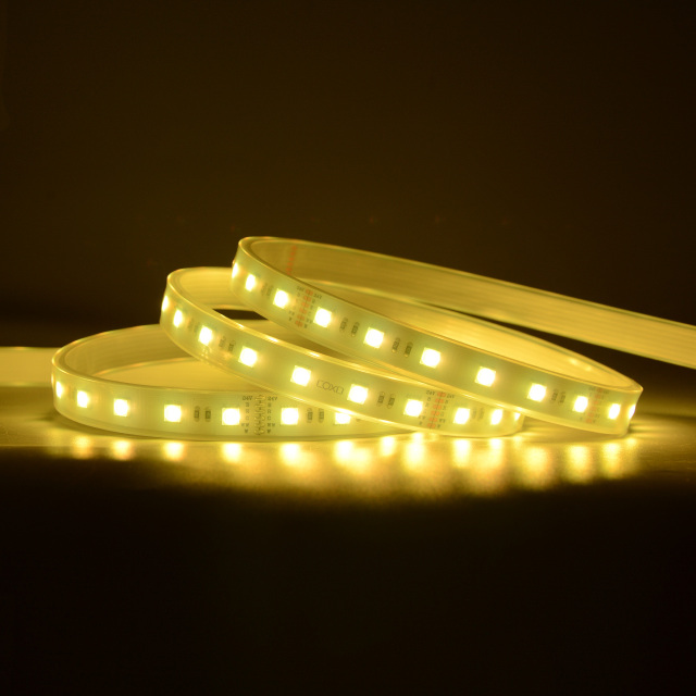 12mm 24V 60leds/m 5050 RGBCCT LED strip