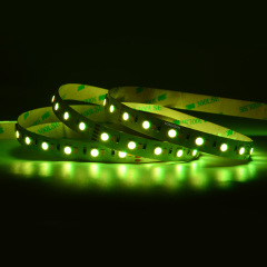 12mm 12V/24V 120leds/m 5050 RGB&2835 W LED strip