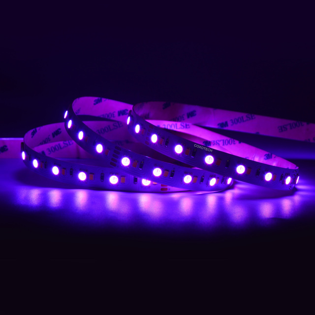 12mm 12V/24V 120leds/m 5050 RGB&2835 W LED strip