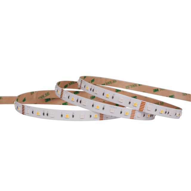 10mm 24V 72leds/m 4040 & 3838 RGBCCT LED strip