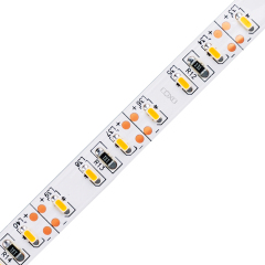 8mm 12V/24V 120leds/m 3014 LED Strip