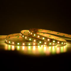 10mm 24V 72leds/m 4040 & 3838 RGBCCT LED strip
