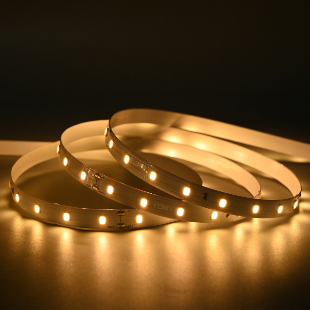 8mm 24V 56leds/m High Efficiency 2835 LED strip