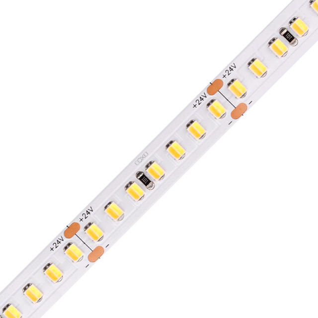 10mm 24V 168leds/m 2 in 1 CCT 2835 LED strip