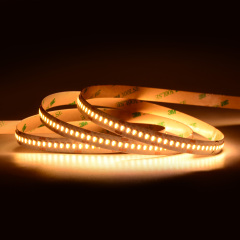 10mm 24V 240leds/m 2 in 1 CCT 2835 LED strip
