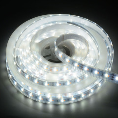 10mm 12V 120leds/m CCT 2835 LED strip
