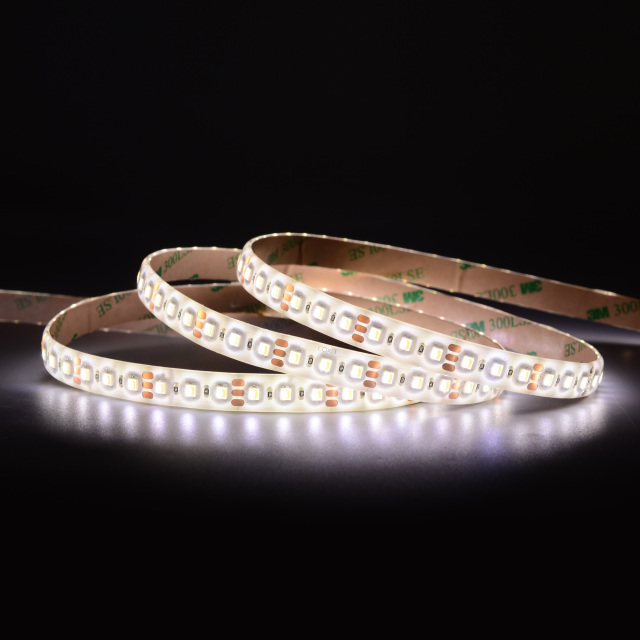 10mm 12V 120leds/m 2 in 1 CCT LED strip