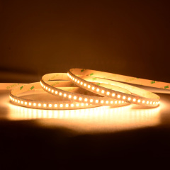 10mm 24V 160leds/m High Efficiency 2835 LED strip
