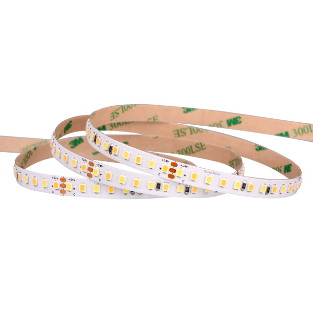 10mm 24V 168eds/m CCT 2835 LED strip