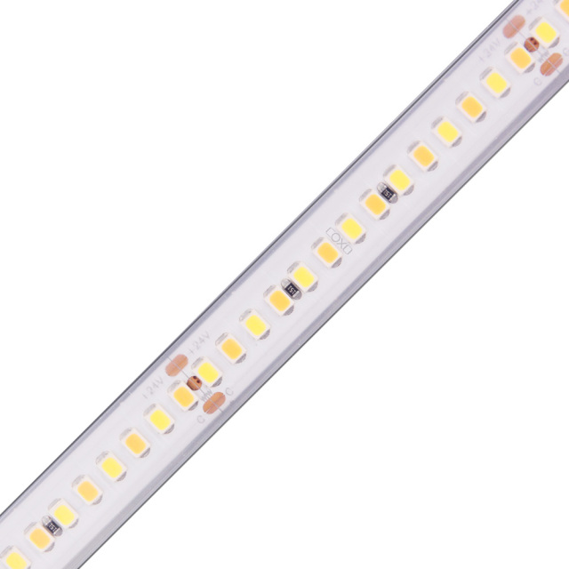 10mm 24V 224leds/m CCT 2835 LED strip