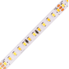 10mm 24V 168leds/m CCT 2835 LED strip