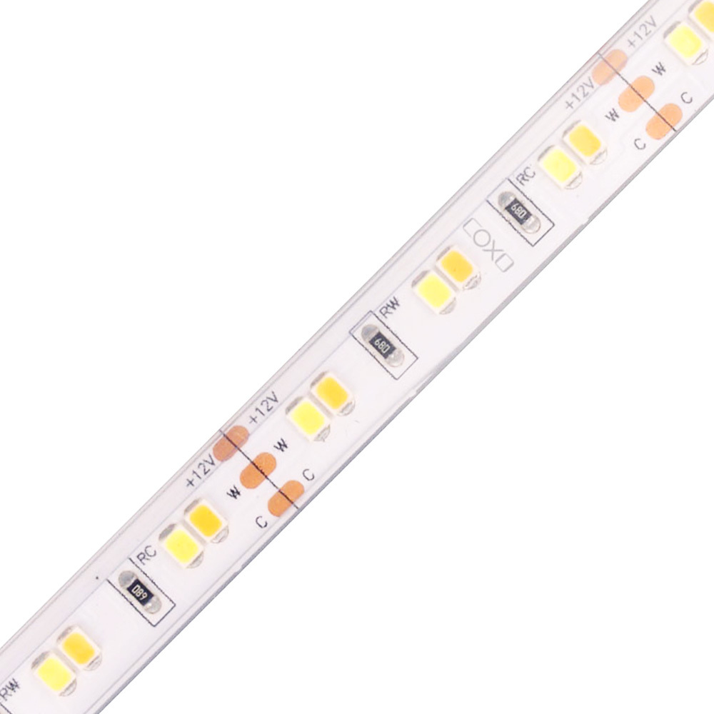 10mm 12V 120leds/m CCT 2835 LED strip