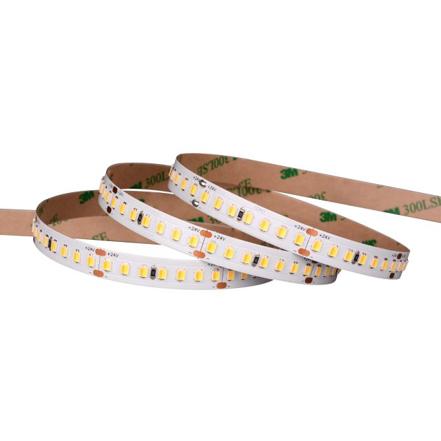 10mm 24V 168leds/m 2 in 1 CCT 2835 LED strip