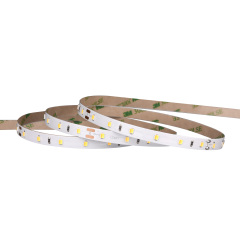 8mm 12V/24V 60leds/m 2 in 1 CCT 2835 LED strip